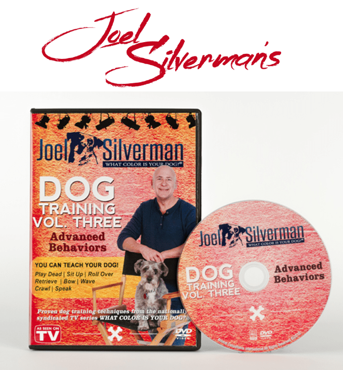 Joel Silverman’s Advanced Dog Training – Volume 3 (2015)