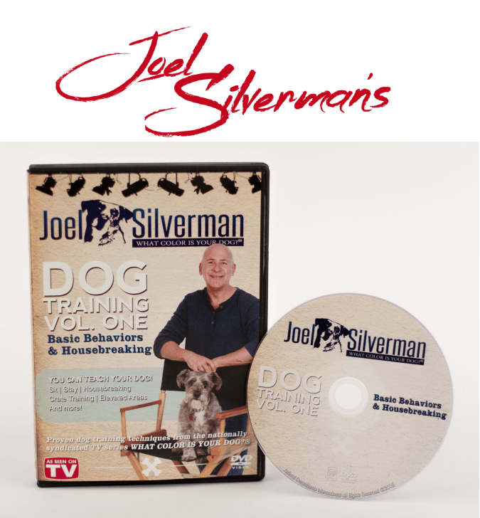 Joel Silverman’s Basic Dog Training – Volume 1 (2015)