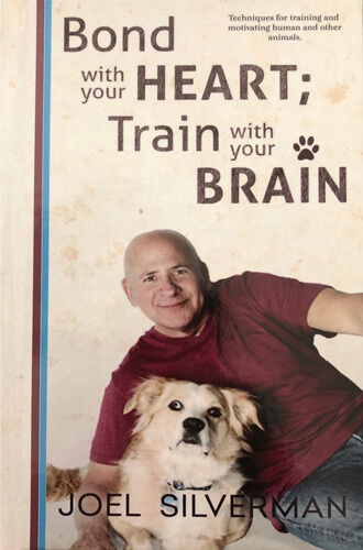 Bond With Your Heart; Train With Your Brain Book (Paperback)