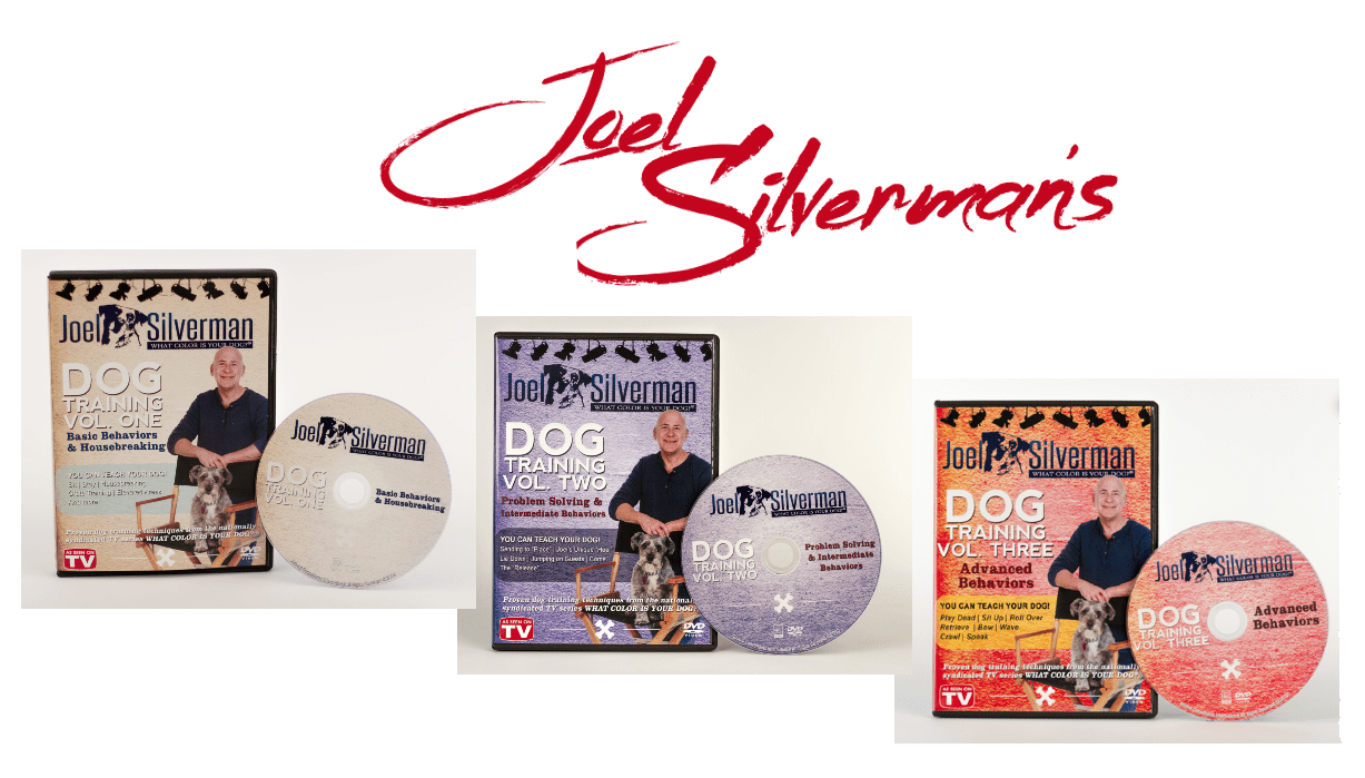 Joel Silverman’s Deluxe 3 DVD Dog Training Combo (2015)