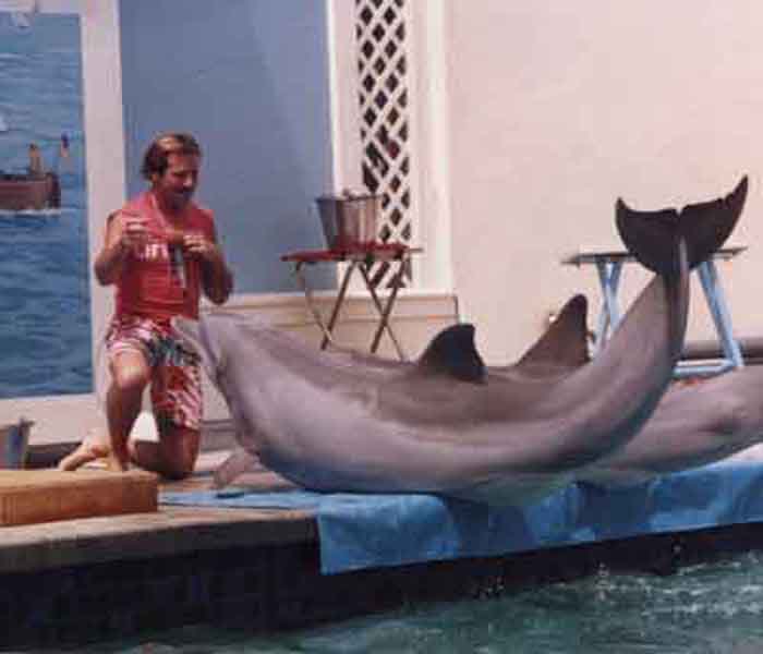 Joel Silverman with two Dolphins