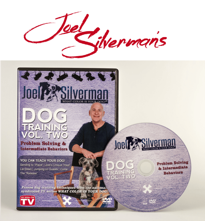 Joel Silverman’s Intermediate Dog Training & Problem Solving – Volume 2 (2015)