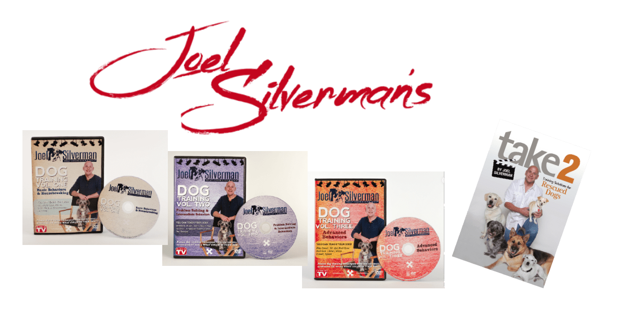 Joel Silverman’s  3 DVDs   Take 2, Training Solutions .. book