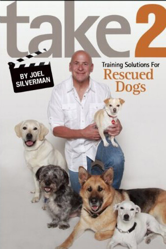 Take 2: Training Solutions for Rescued Dogs (Paperback)