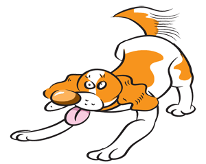 orange dogs joel silverman