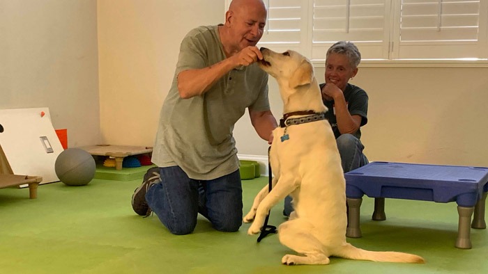joel silvermans dog trainer certification courses