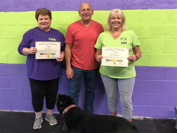 joel silvermans basic dog trainer certification course