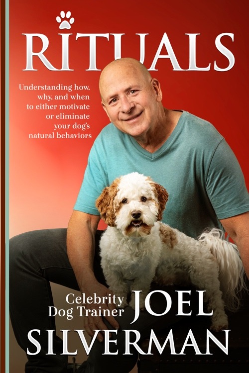 Animals Trained For Film & TV Course - Official Joel Silverman Website