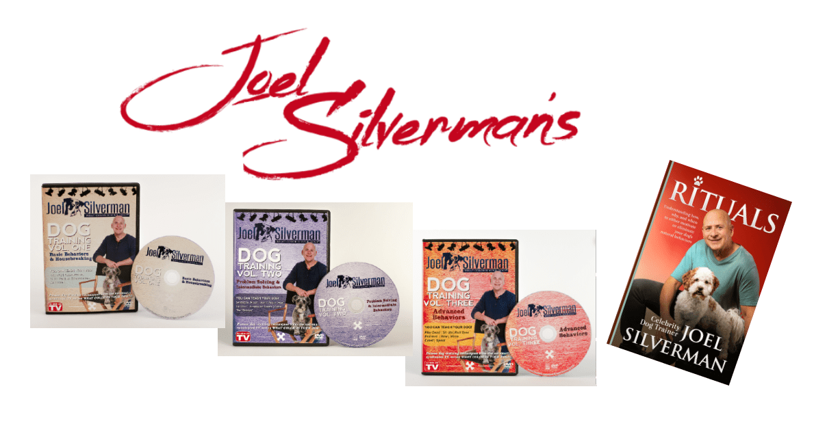 Joel Silverman’s 3 DVDs – Rituals book