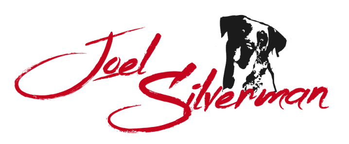 joel silverman's official website