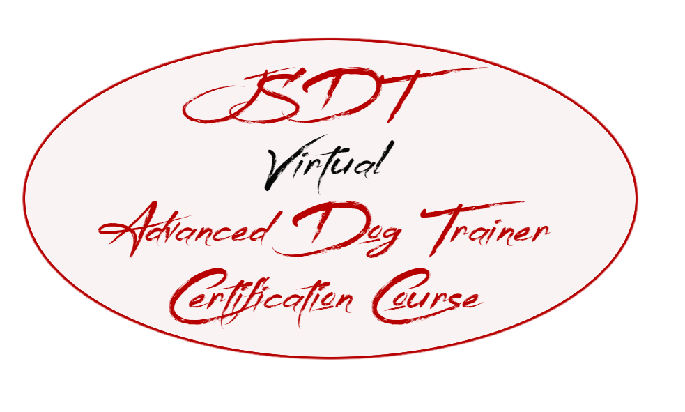joel silvermans virtual dog trainer certification course