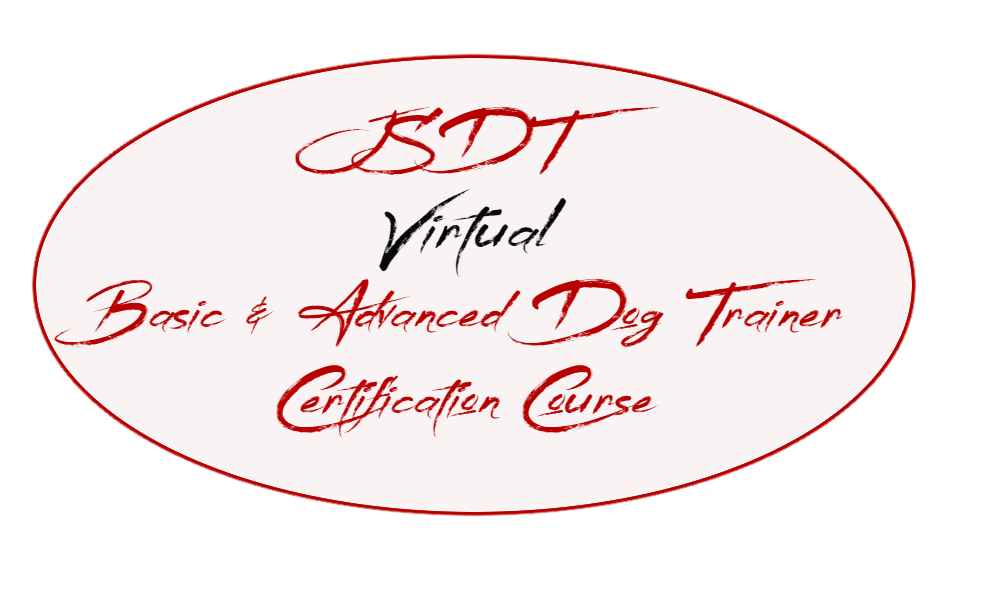 JSDT Basic and Advanced Virtual Certification Course (30 hours)