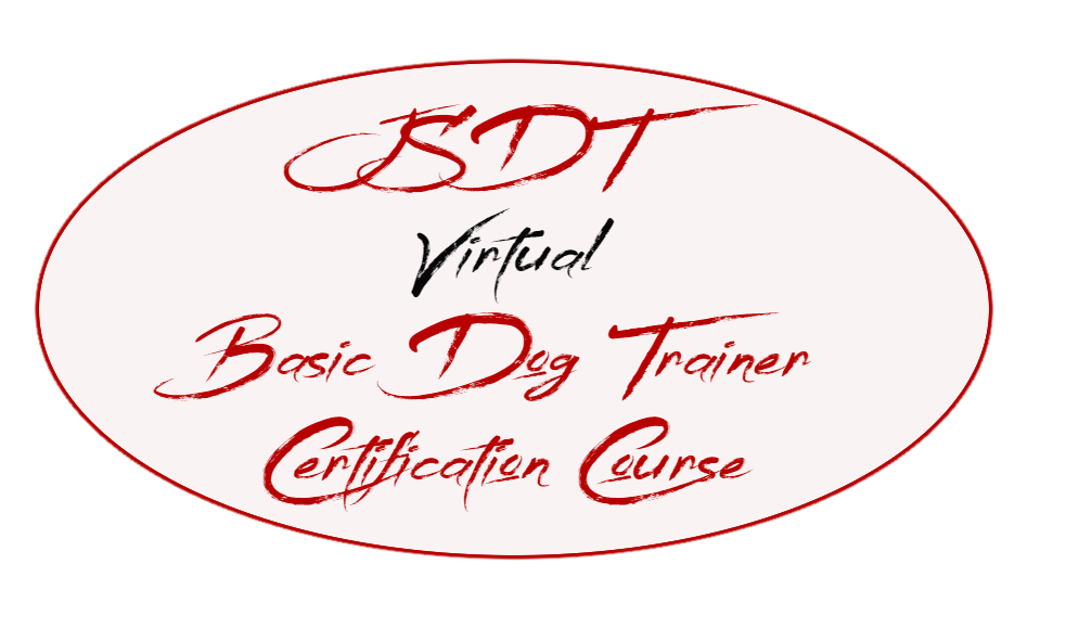 JSDT Basic Virtual Certification Course (15 hours)