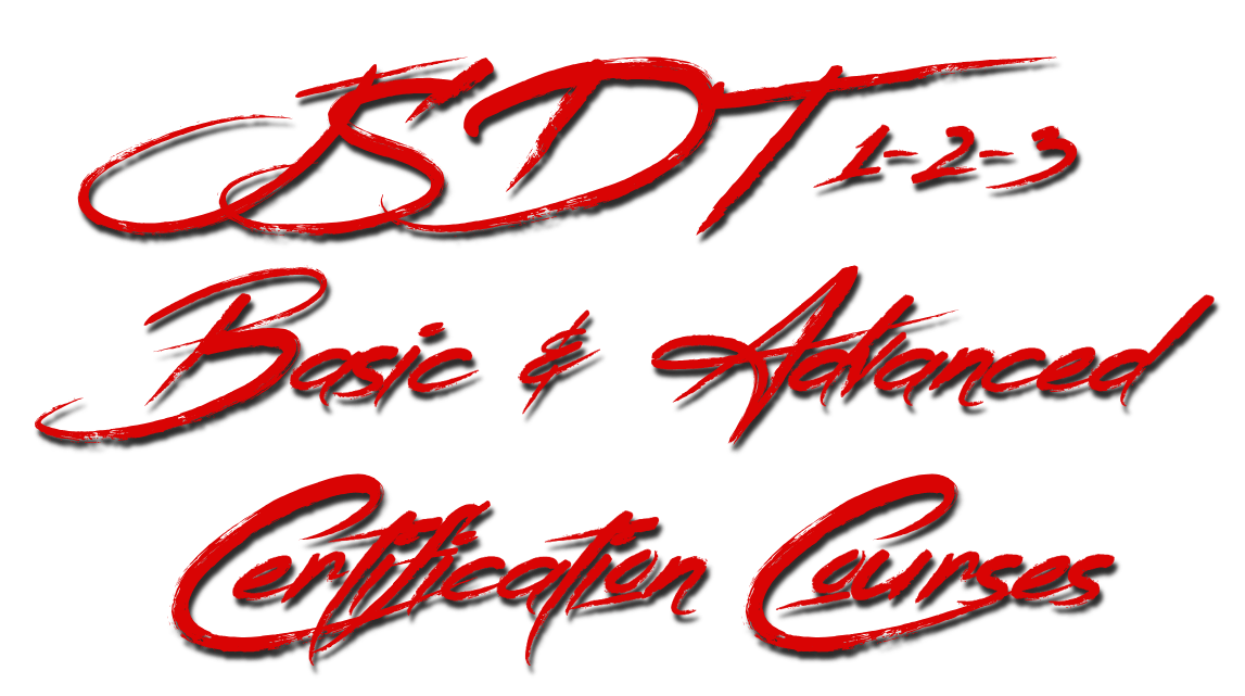 joel silvermans jsdt certification courses