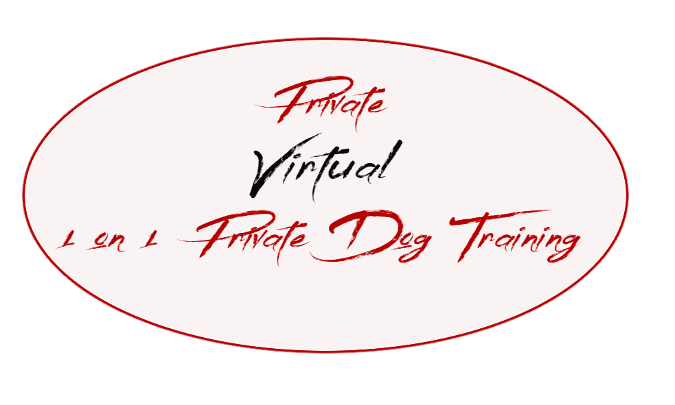 joel silvermans private virtual dog training