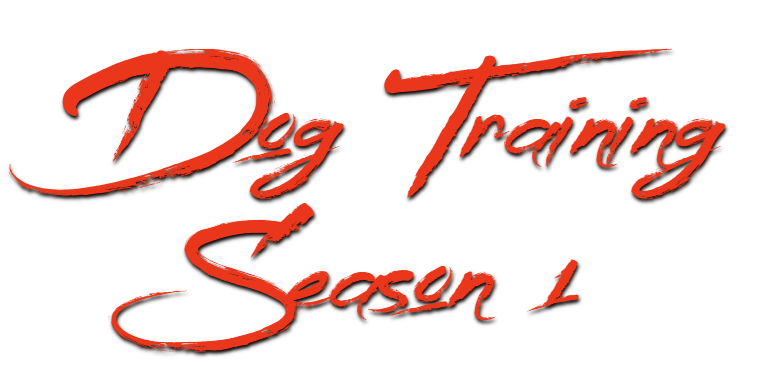 joel silvermans membership area what color is your dog? dog training segments