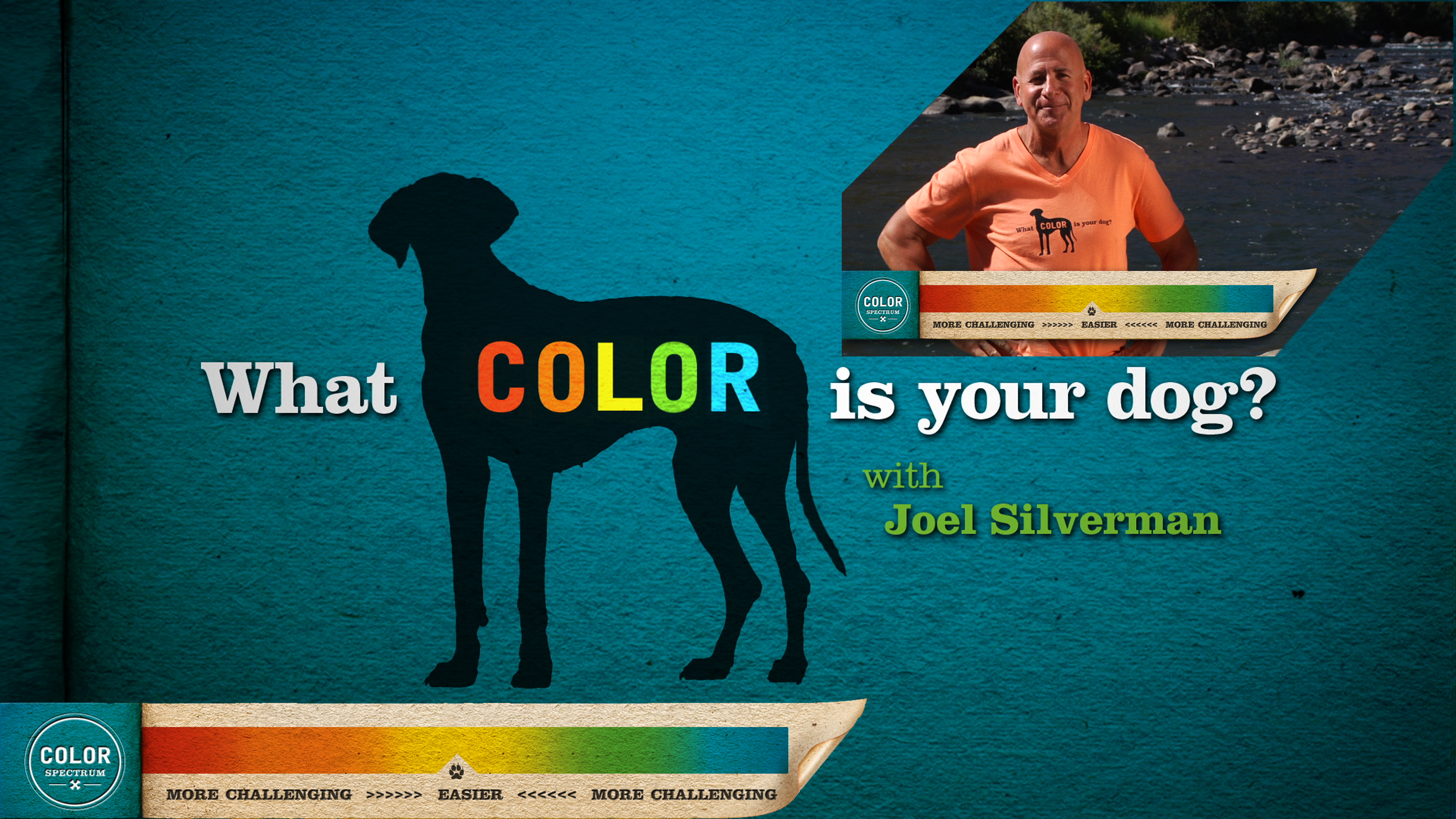 what color is your dog tv series
