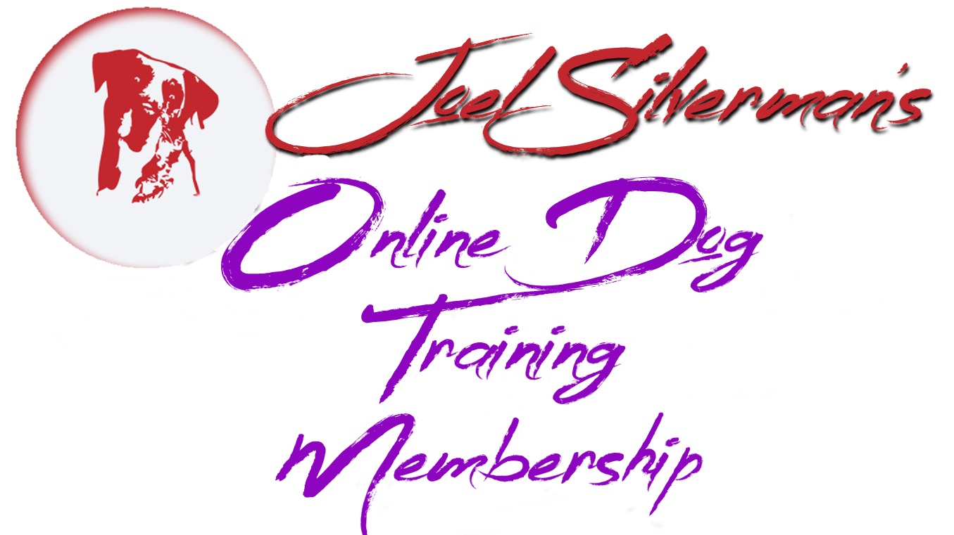 Joel Silverman’s Lifetime Membership