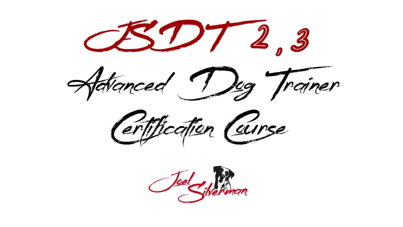 Joel Silvermans Advanced Dog Training Certification Course