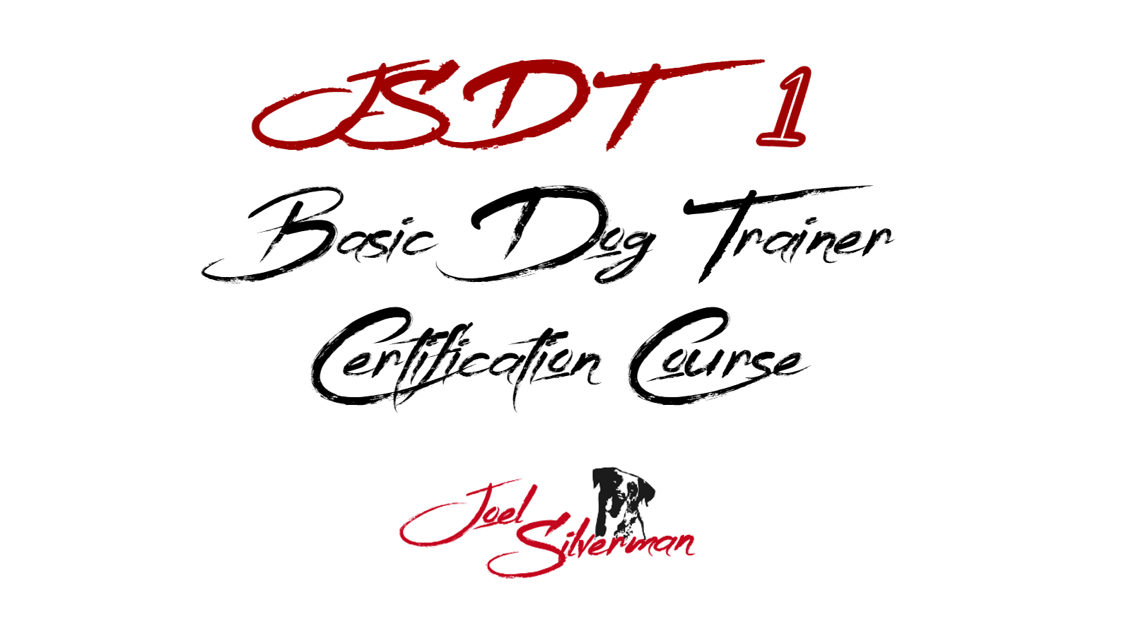 joel silvermans basic dog trainer certification course JSDT1