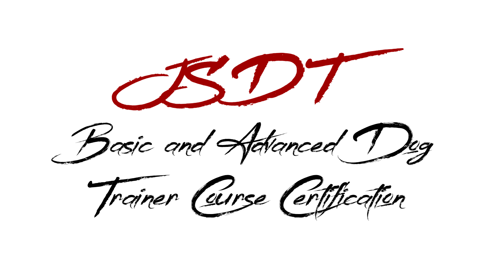 joel silvermans basic and advanced dog trainer certification courses