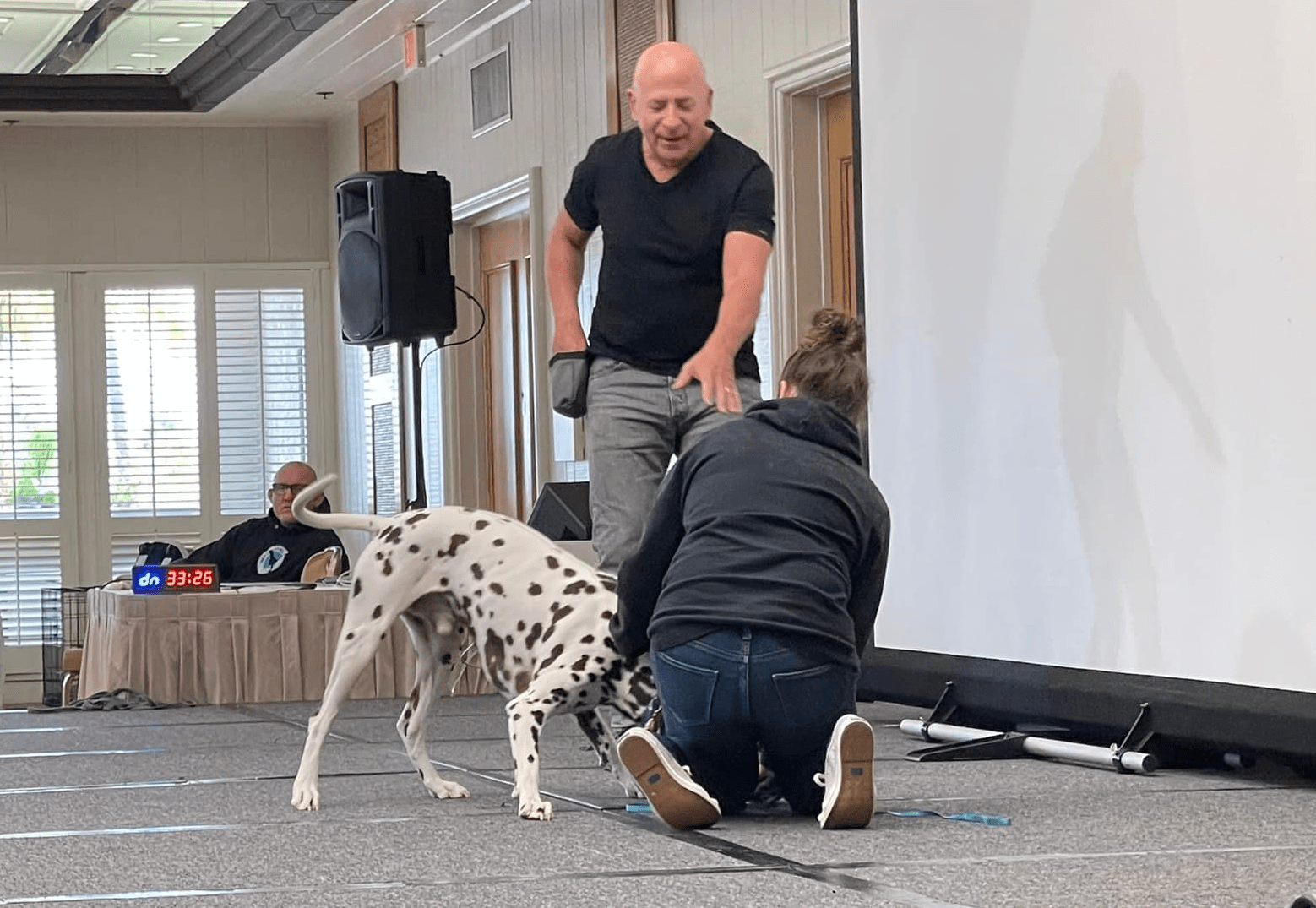 joel silvermans dog training for film and tv