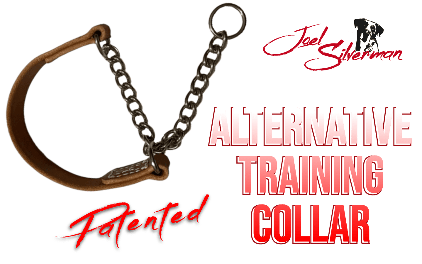 Joel Silverman’s Alternative Training Collar (TM) 9 Sizes