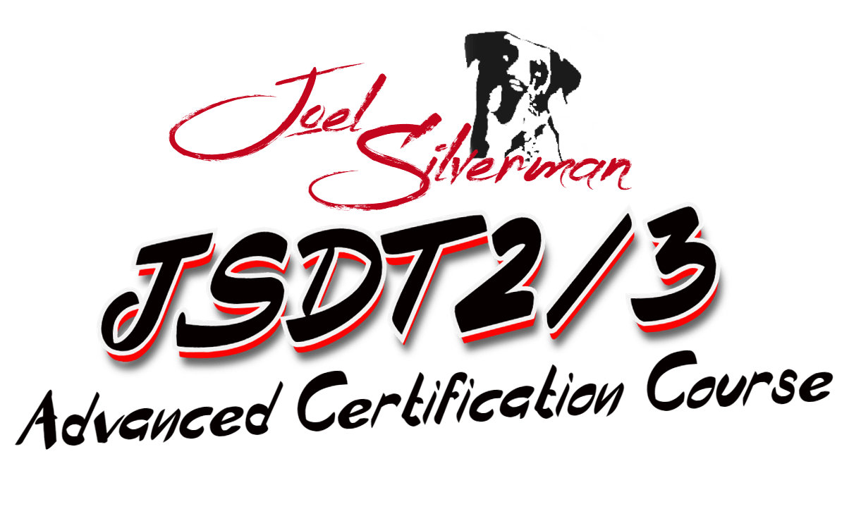 Joel Silvermans Advanced Dog Training Certification Course