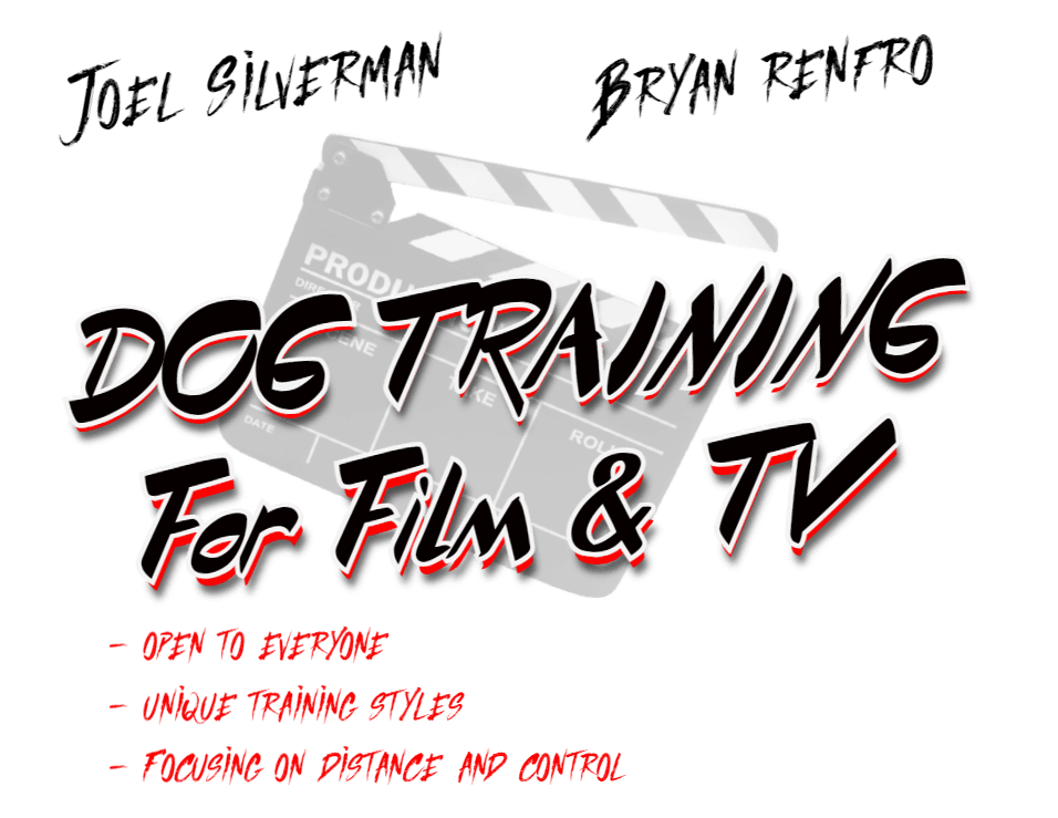 joel silverman and bryan renfro dog training for film and tv