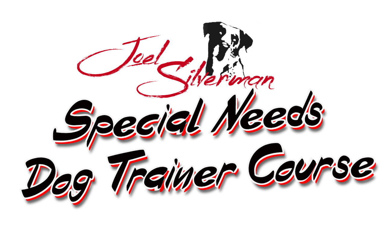 joel silvermans special needs dog trainer course