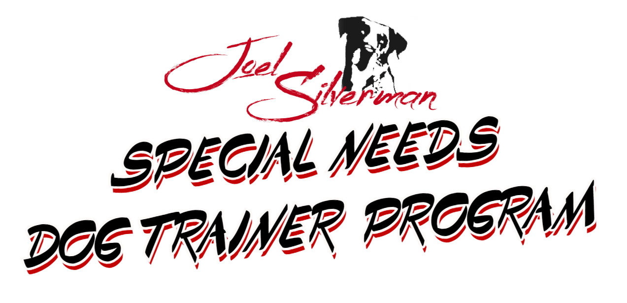 joel silvermans speical needs dog trainer program