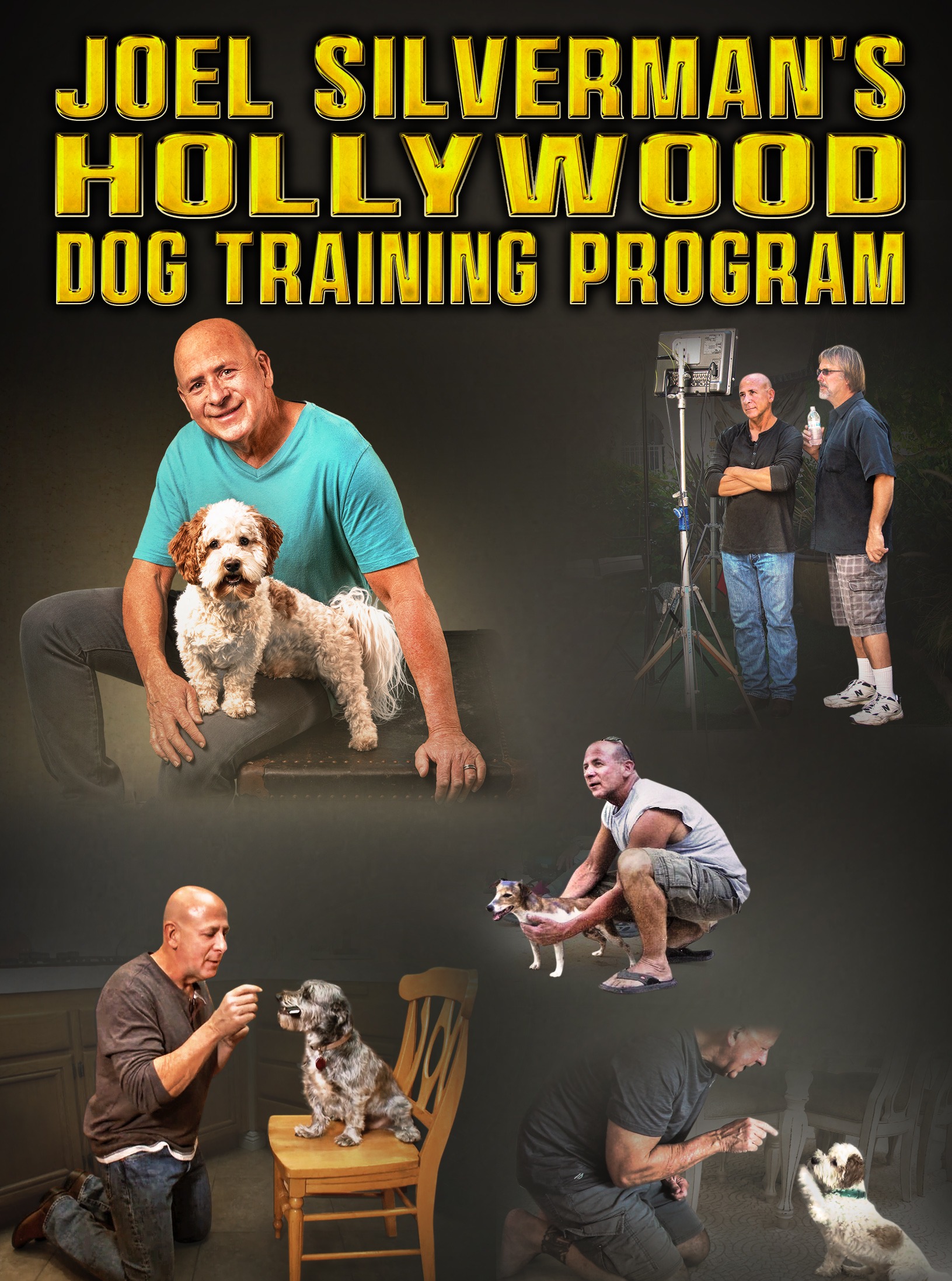 joel silvermans hollywood dog training program